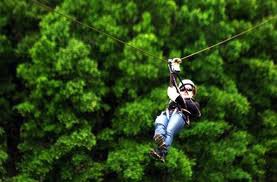 Canopy en Pucon